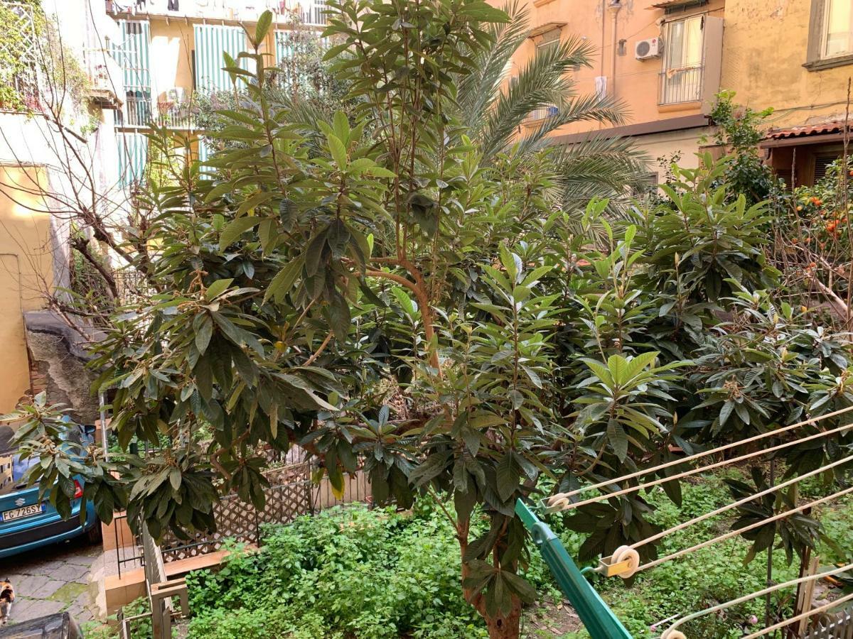 Da Ninetta Resterete Senza Parole, Garantito! Napoli Dış mekan fotoğraf